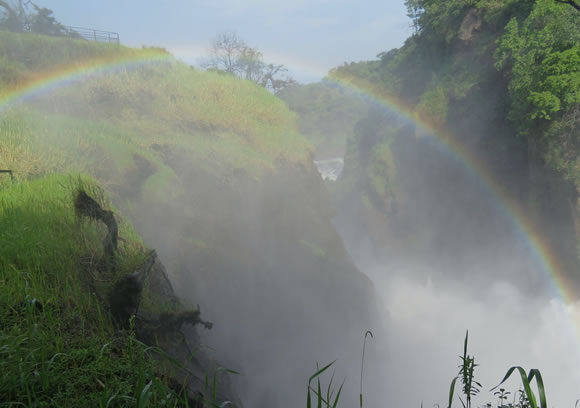 Murchison Falls Tour