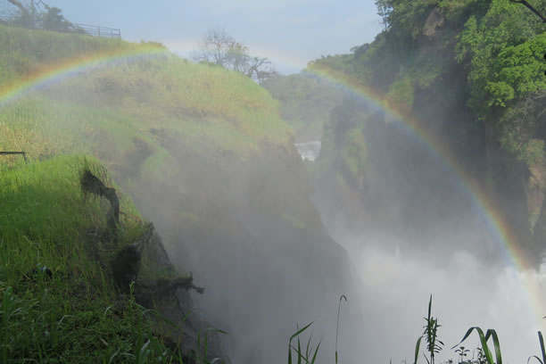 Murchison Falls Tour